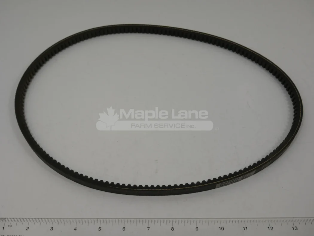 961942 V-Belt