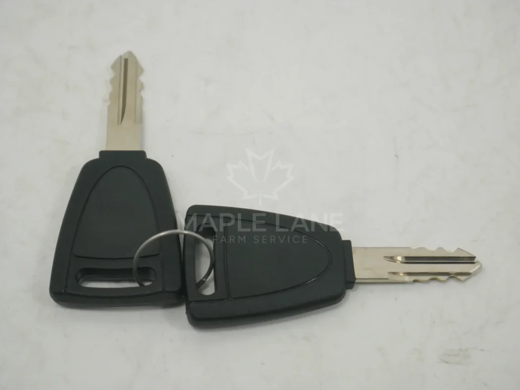 4297511M91 door key set