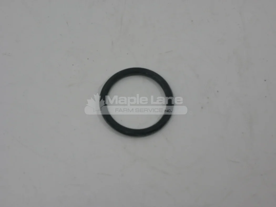 072855 O-Ring