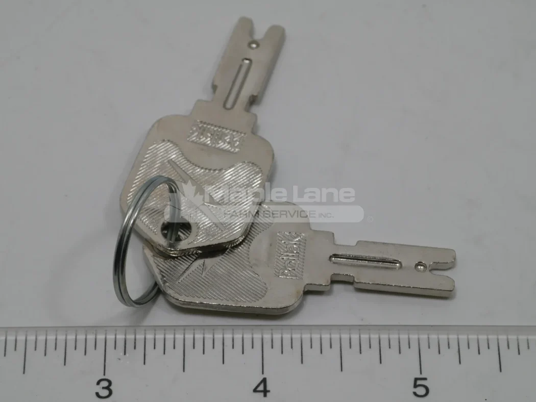 073694 Ignition Switch Key