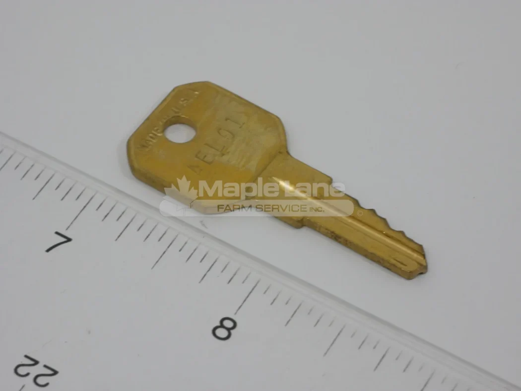 078941 Switch Key