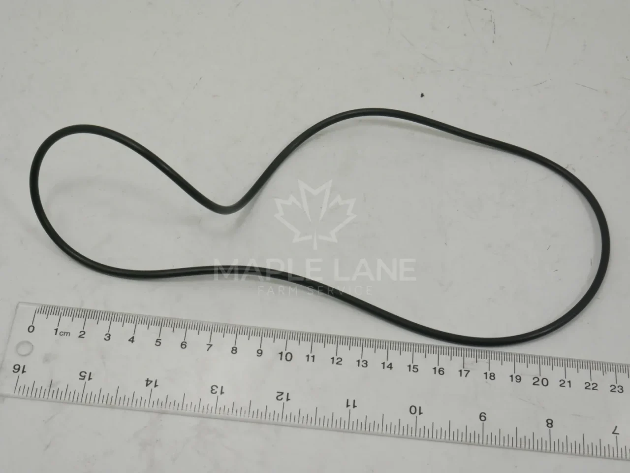109481 O-ring