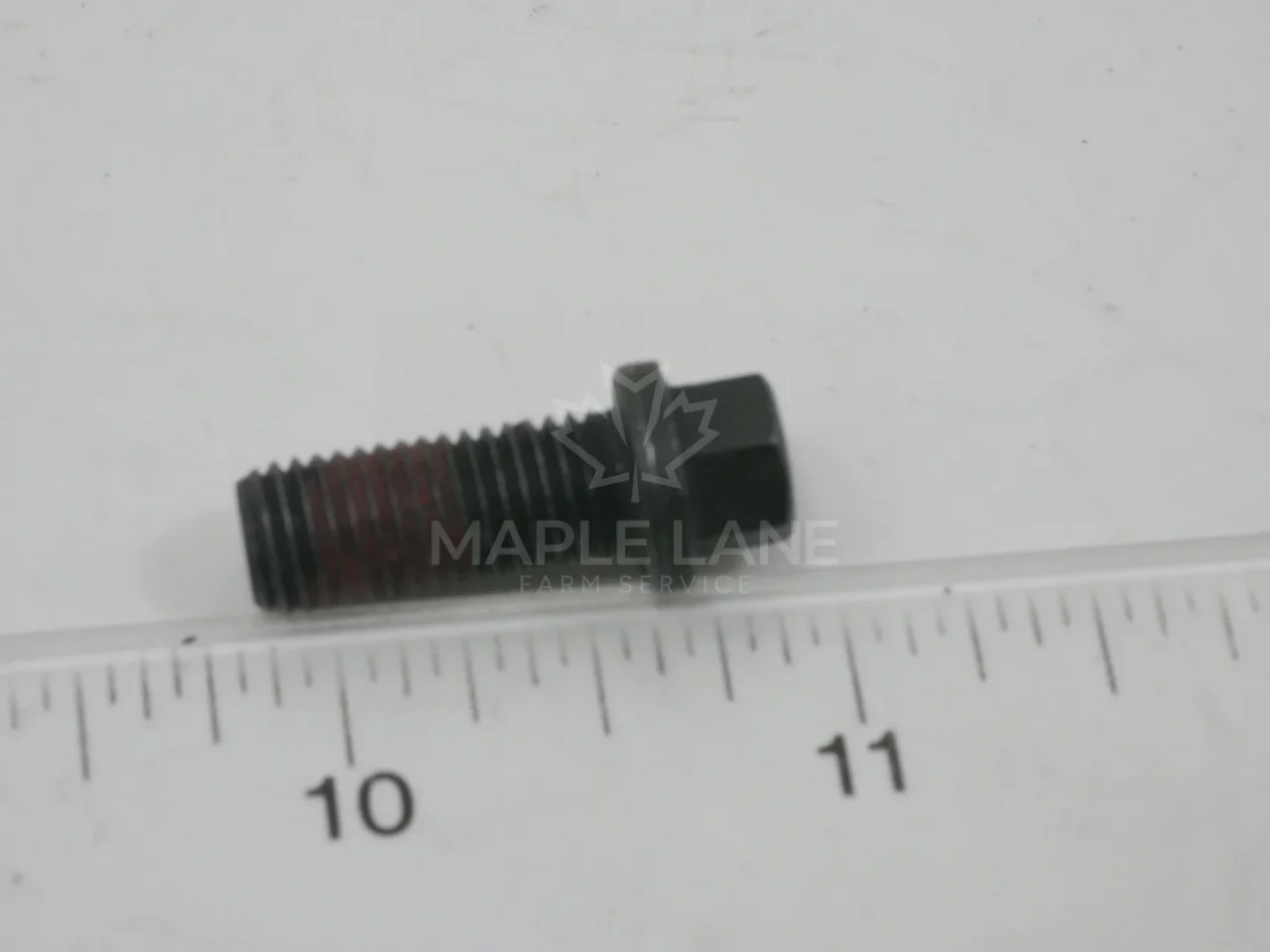 109752 Bolt