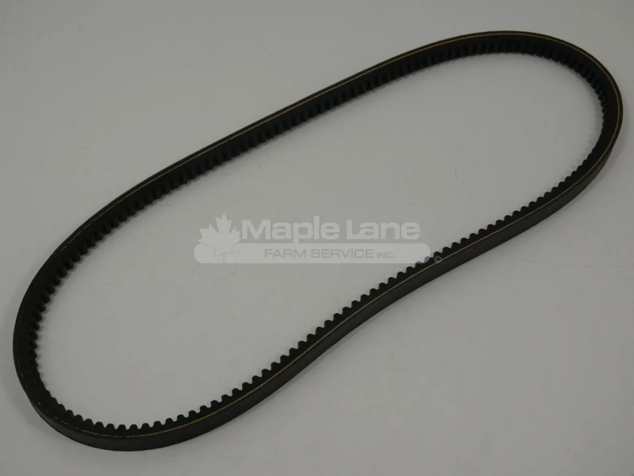 113891 Fan Belt
