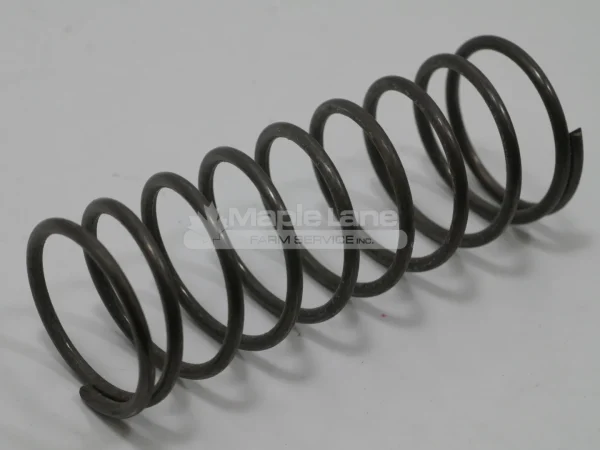 116776 Latch Spring