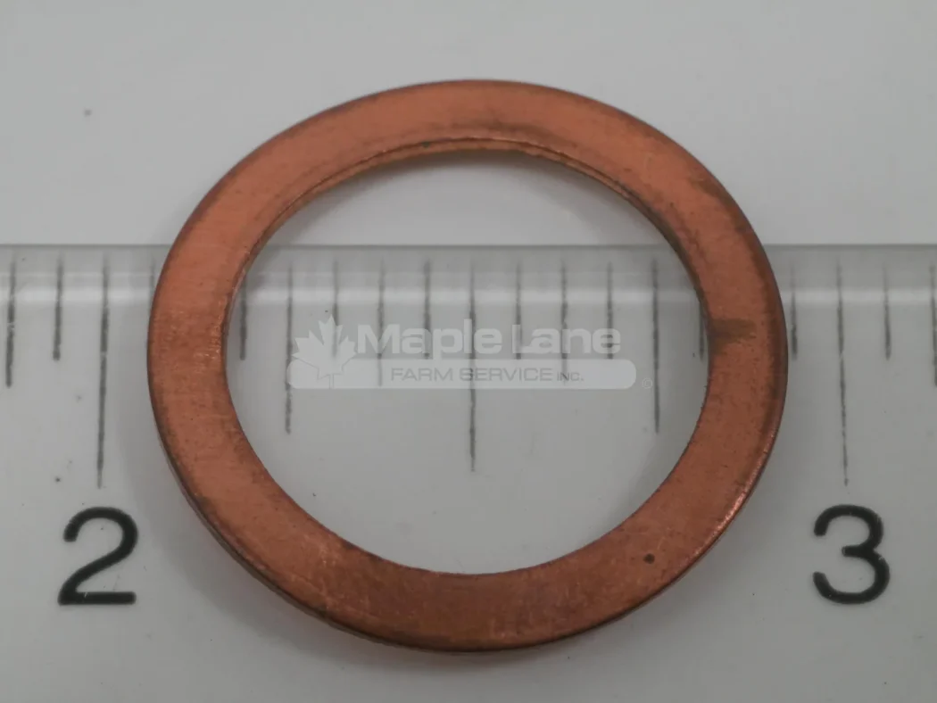 125426 Sealing Ring