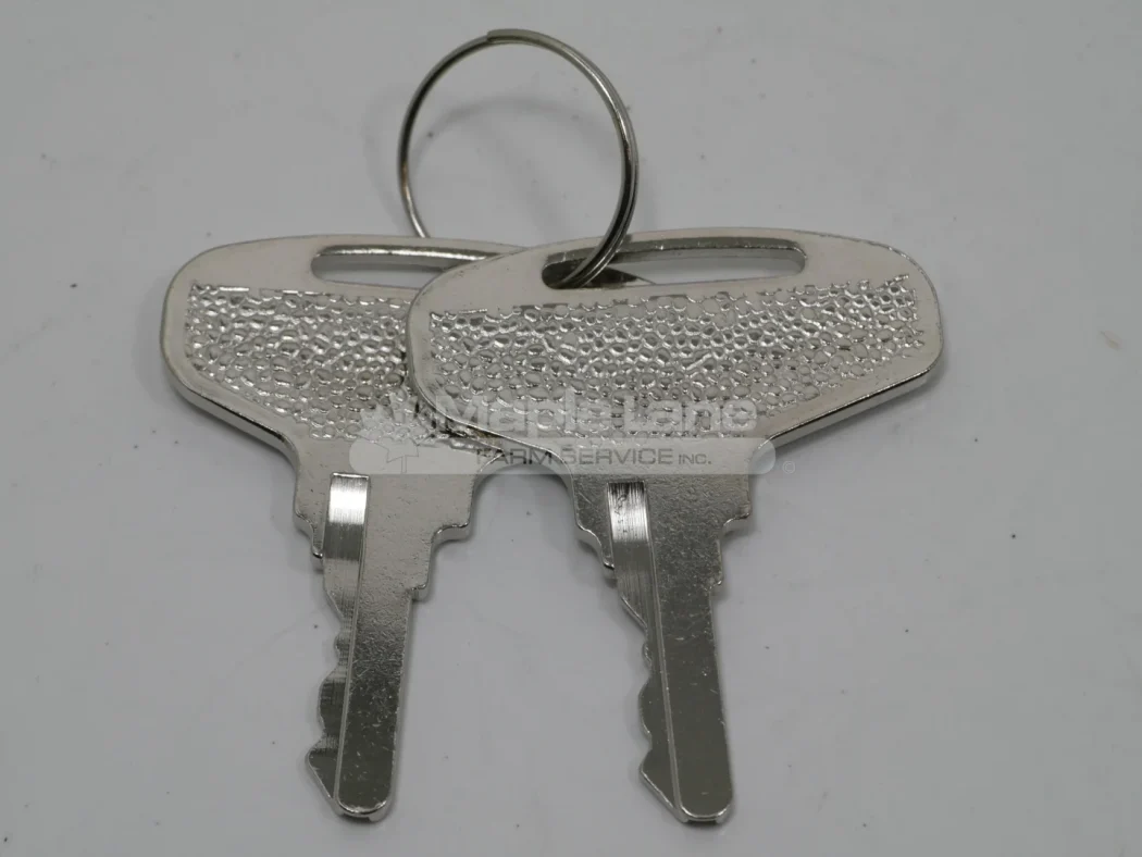 131748 Ignition Key