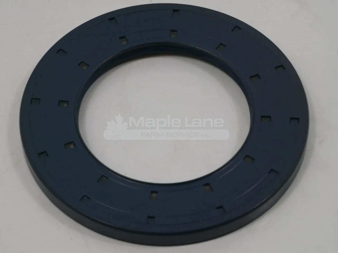 132623 Gehl Drive Motor Seal
