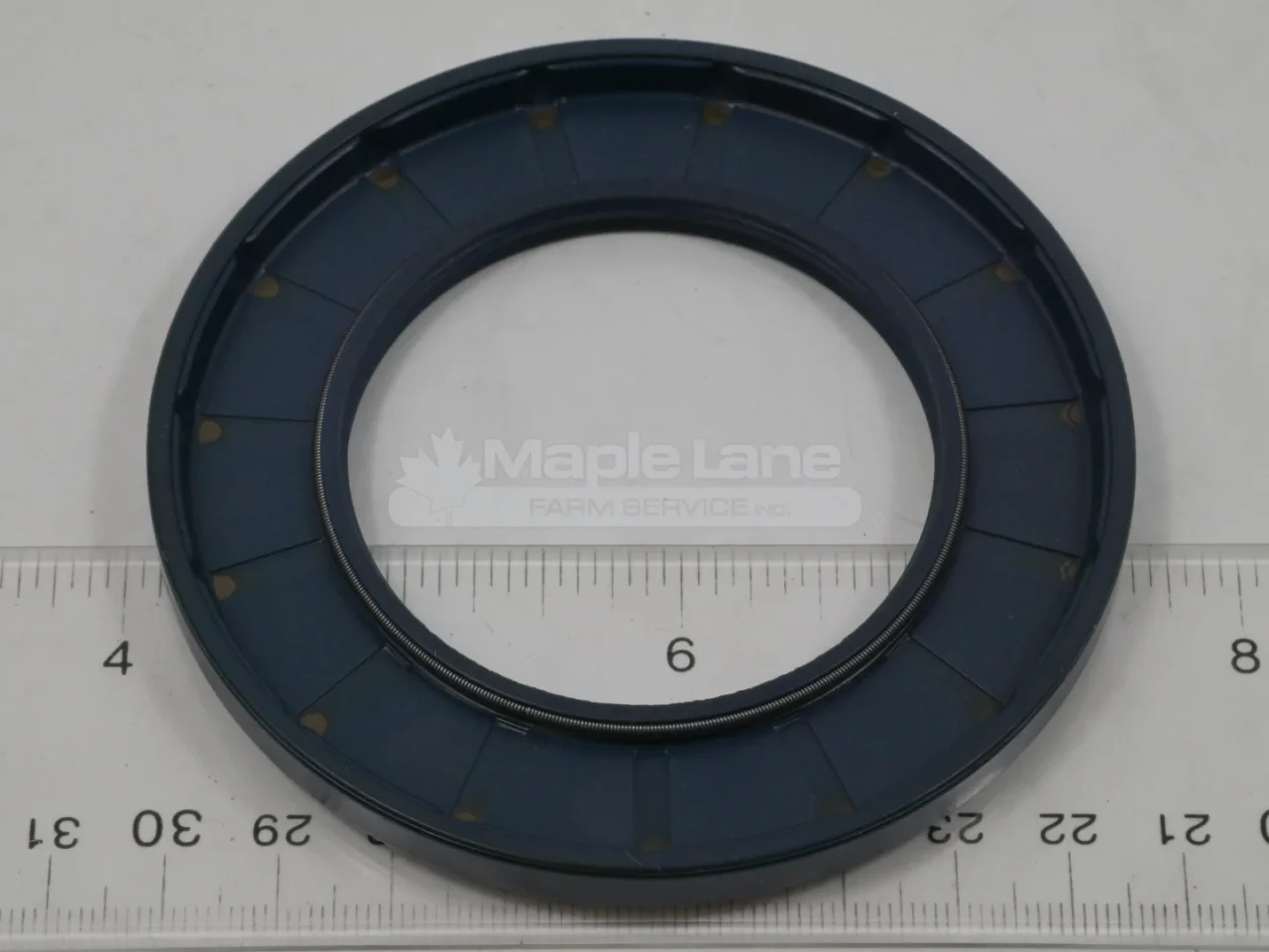 132623 Gehl Drive Motor Seal