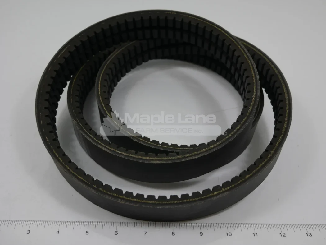 157529 2 Rib V-Belt