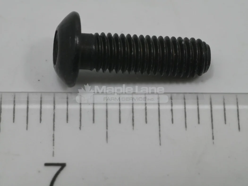 184036 Screw