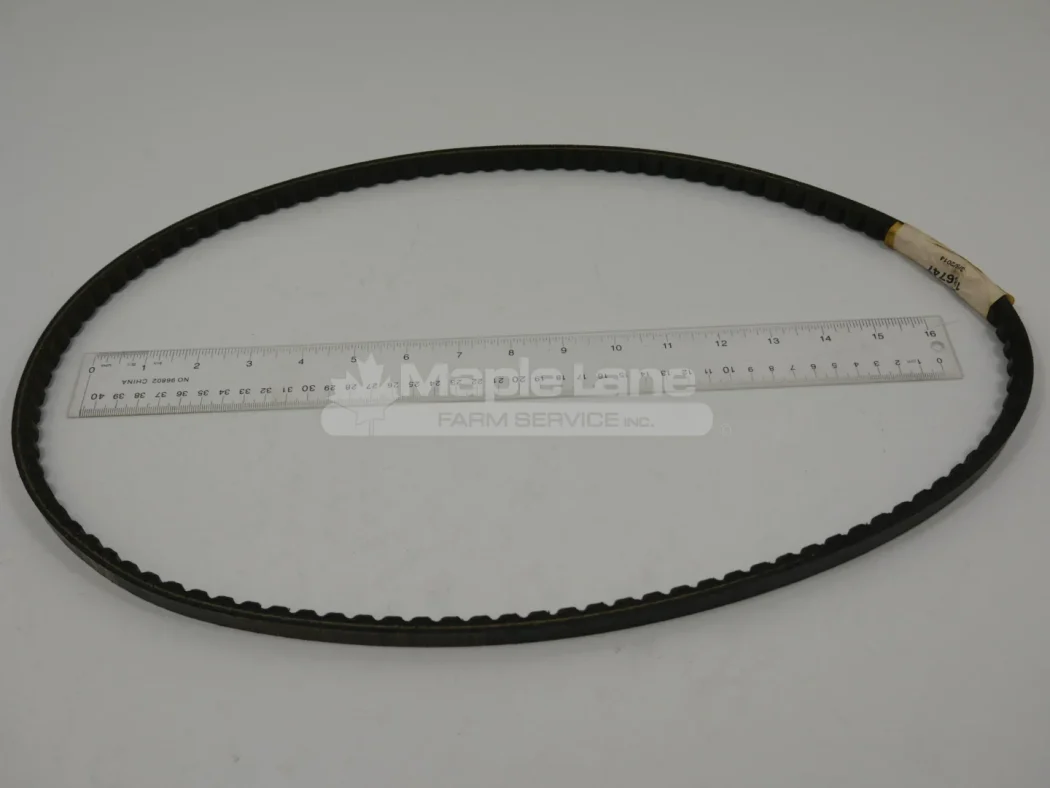 186747 Belt