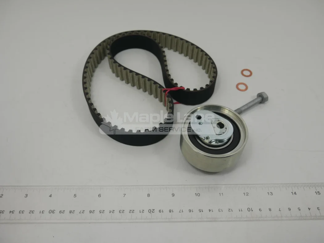 187121 Timing Belt Kit