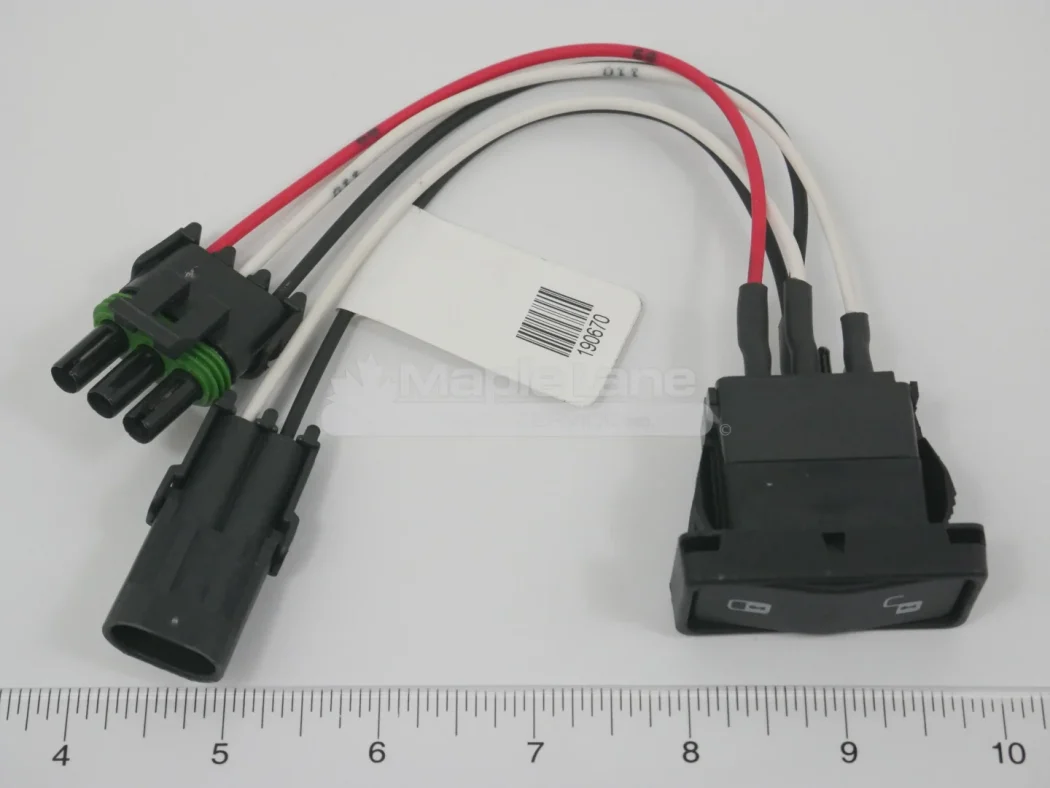 190670 Lock Switch Assembly