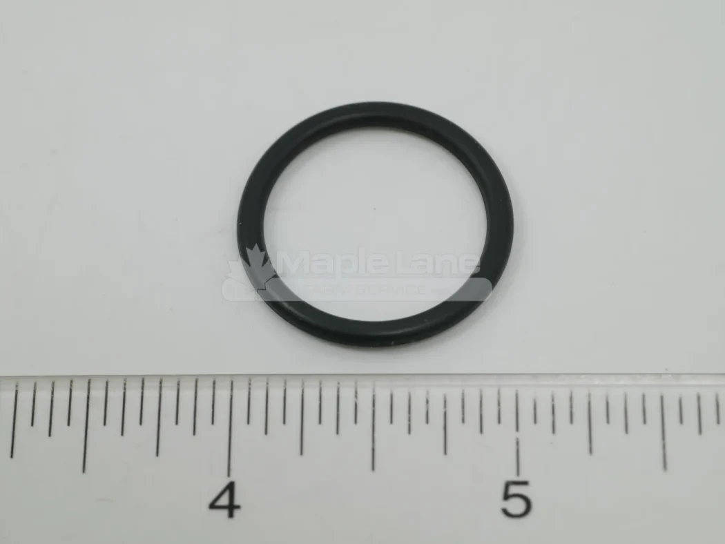 190876 O-Ring