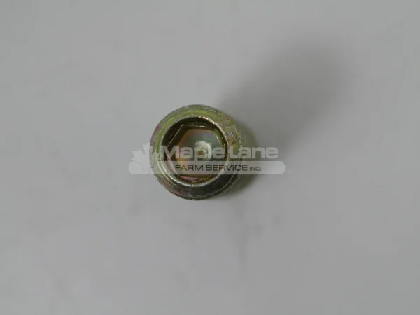 193756 Set Screw M12 x 45