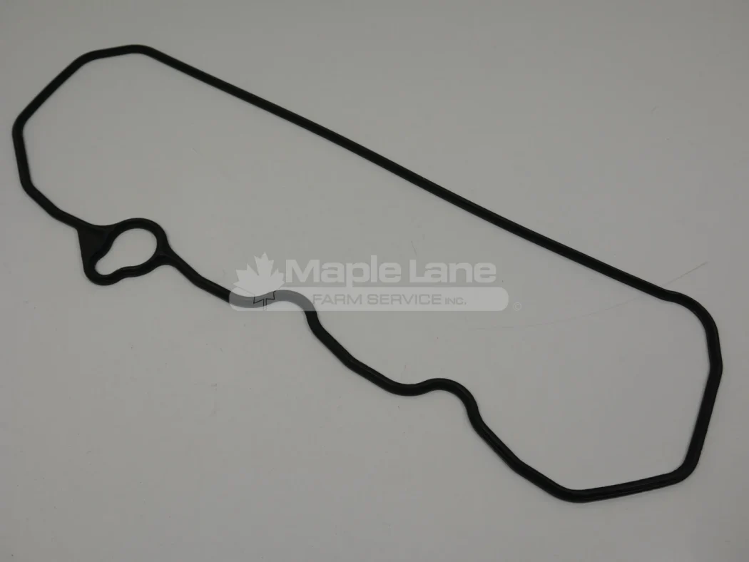 197698 Bonnet Gasket