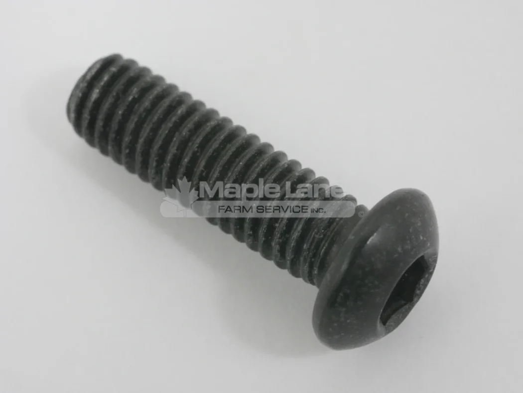 J205275 Screw M6x20