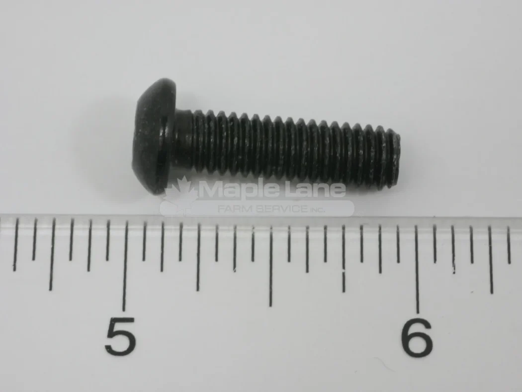 J205275 Screw M6x20