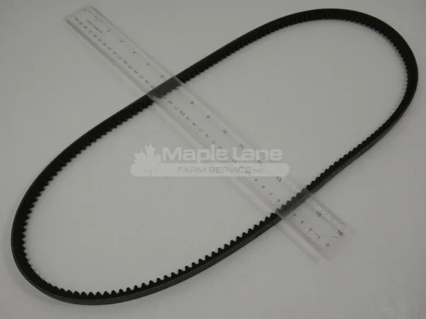 216125 Belt