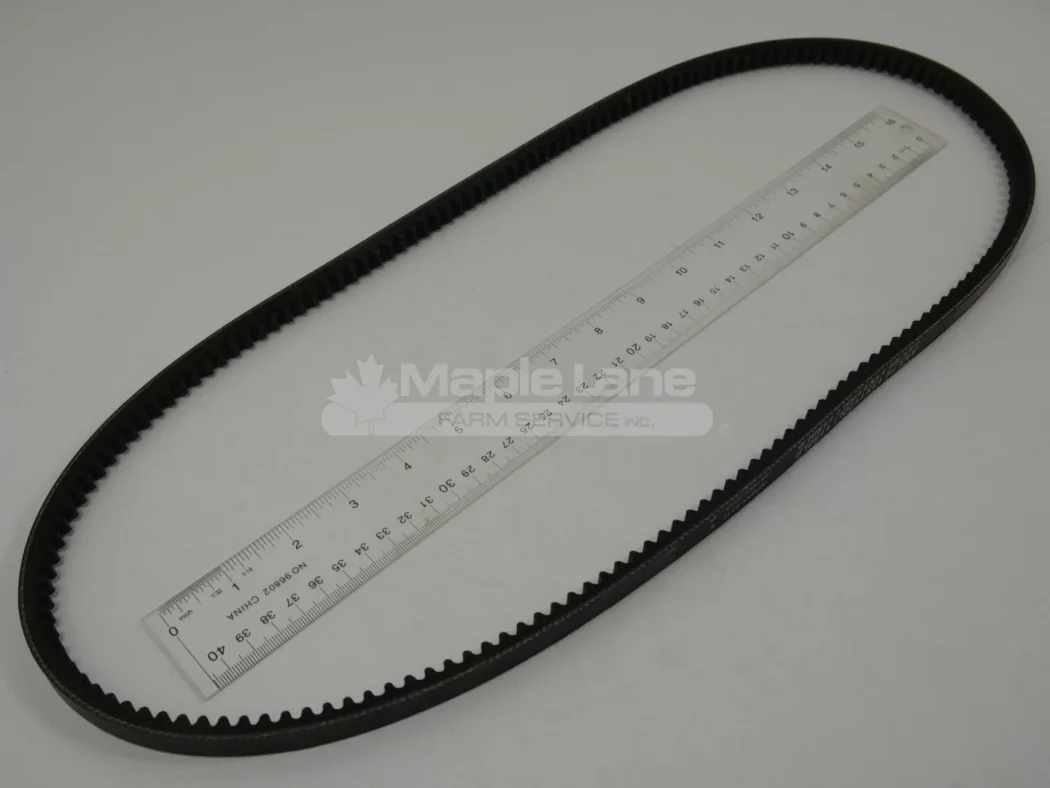 216125 Belt