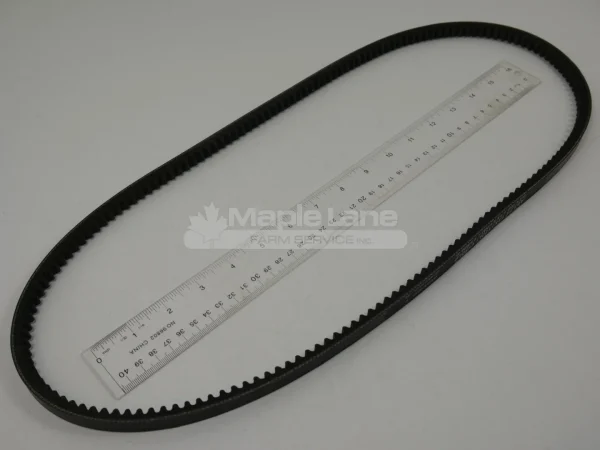 216125 Belt