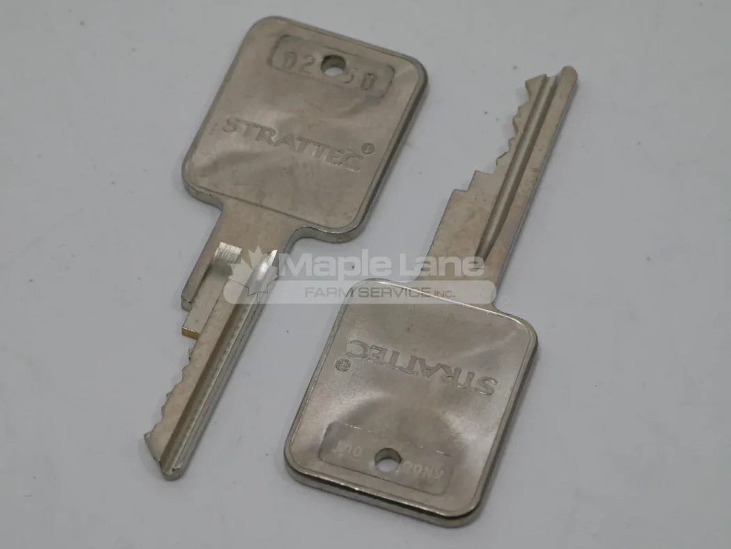 243561 2 Front Door Keys