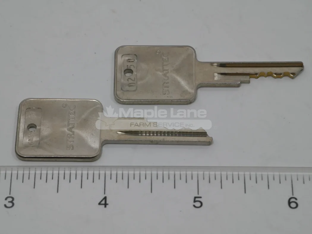 243561 2 Front Door Keys