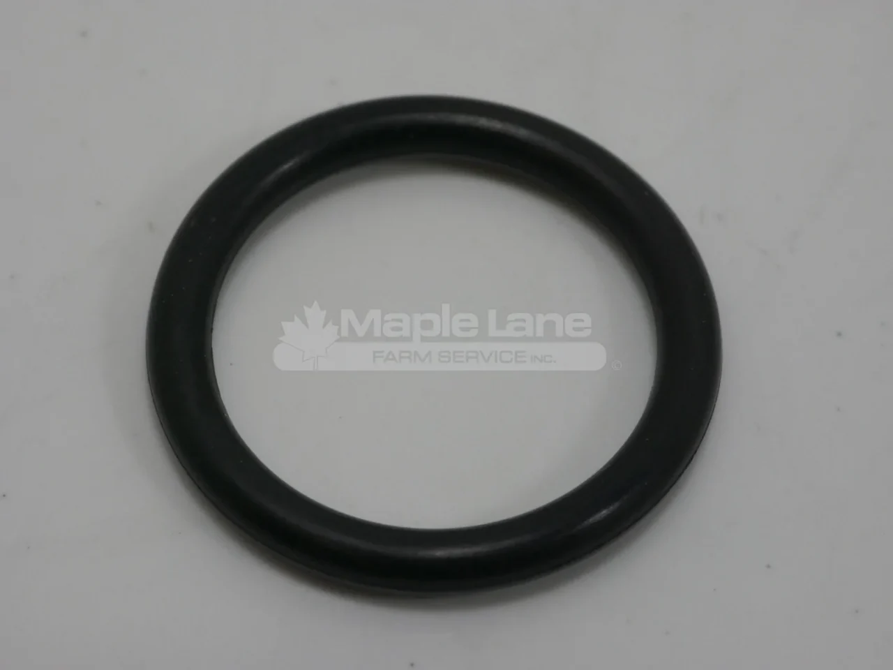 25002 O-Ring