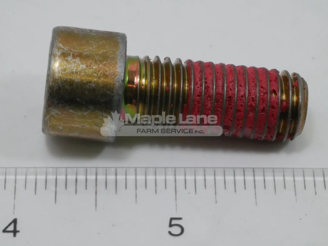 255616 Screw