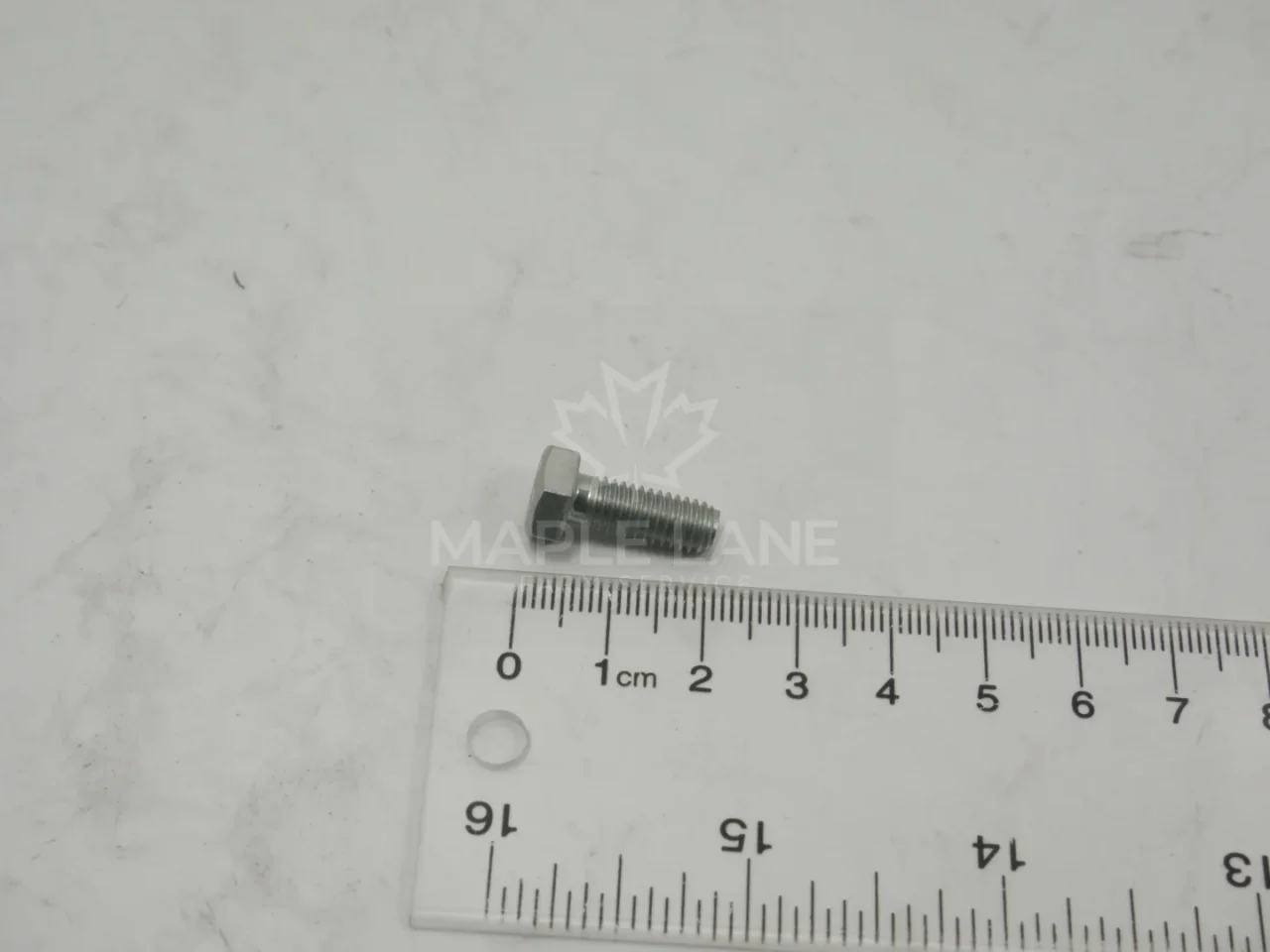 25713 Bolt