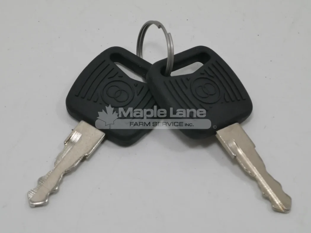 270584 Ignition Key (set of 2)