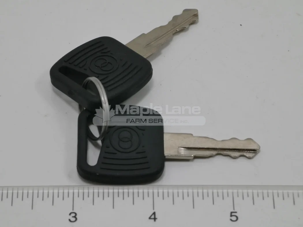 270584 Ignition Key (set of 2)