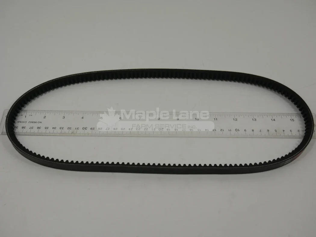 281458 Belt