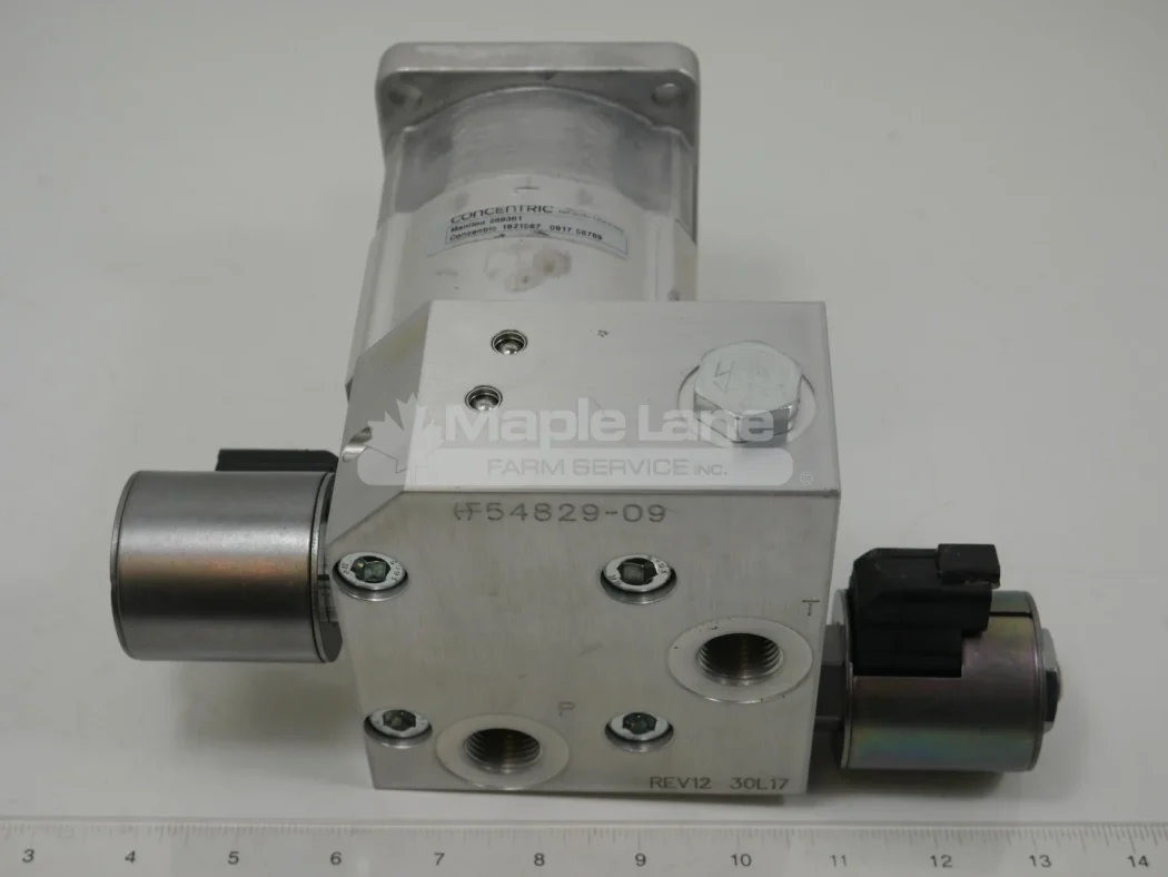 289381 Hydraulic Motor