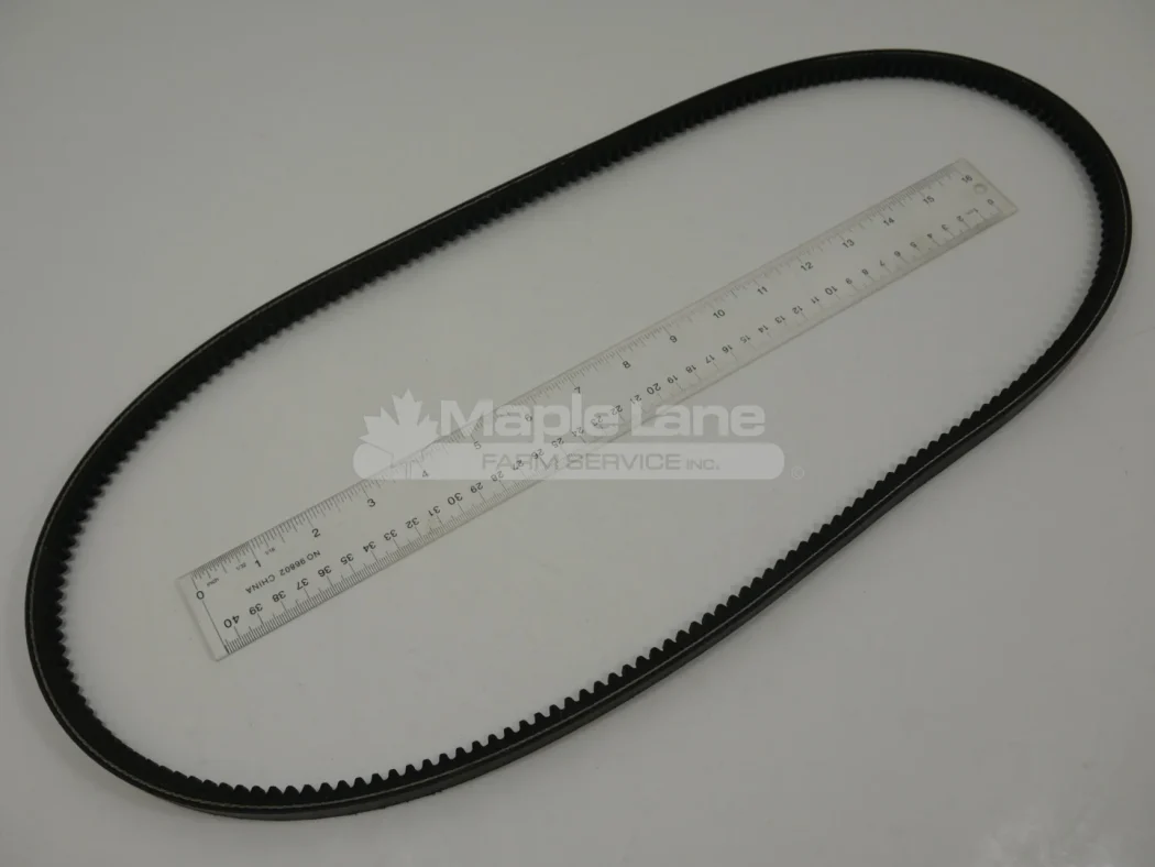 291467 Belt