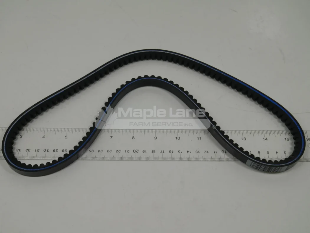 292198 Alternator Belt