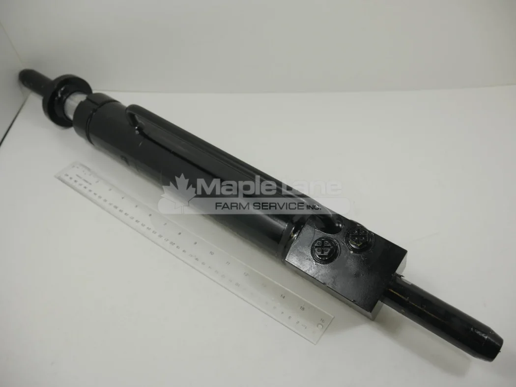 304884 Hydraulic Cylinder