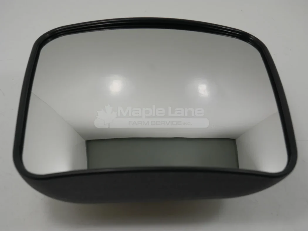 305613 Rearview Mirror