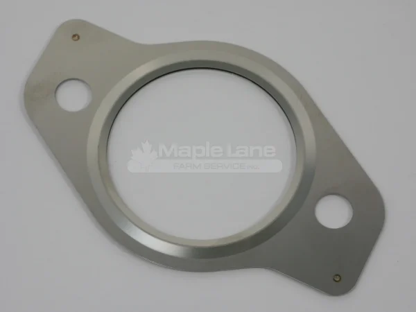 50250417 Gasket