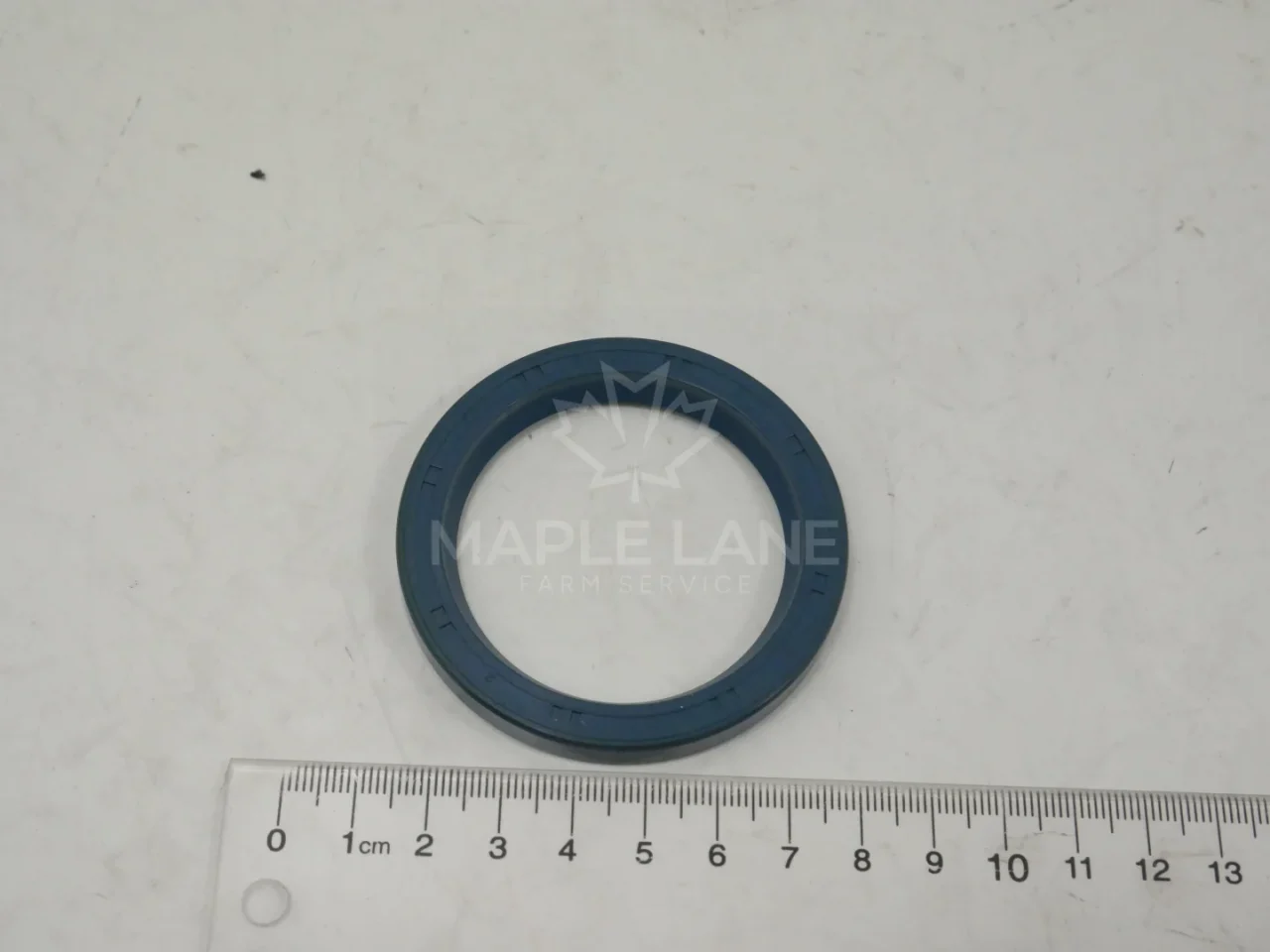 552509 Seal