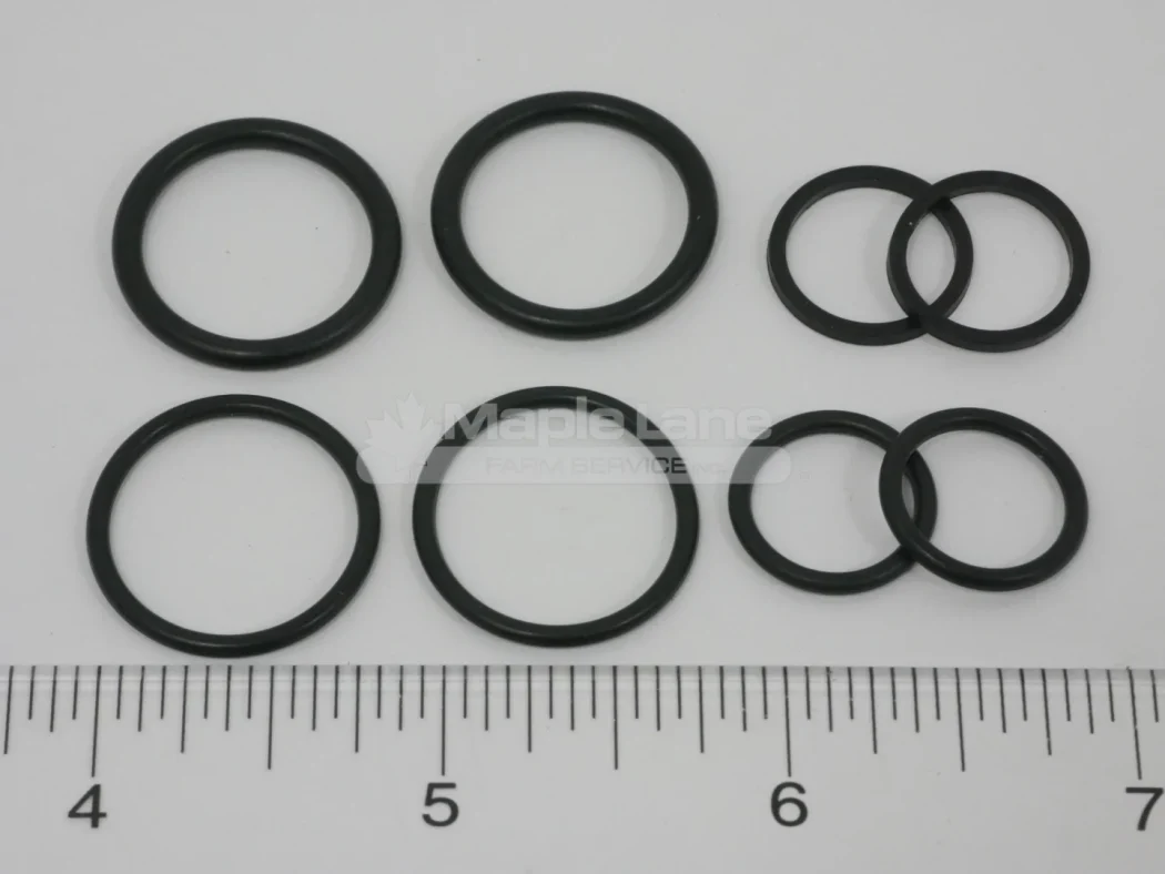 600620 Seal Kit