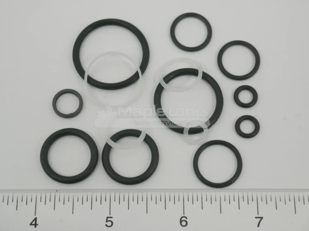 600907 Seal Kit