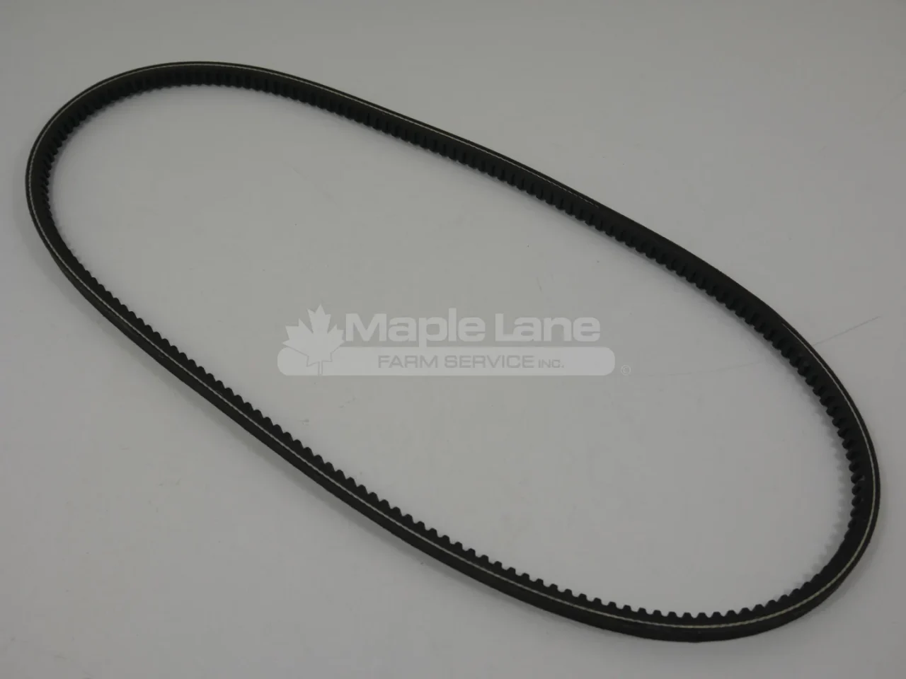 605041 Belt