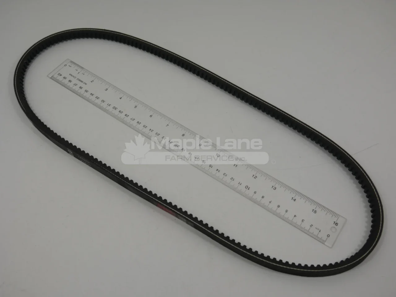 605041 Belt