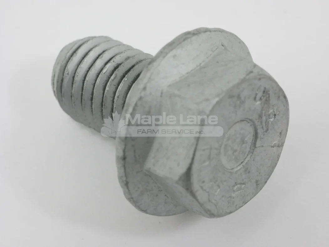 613846 Locking Screw