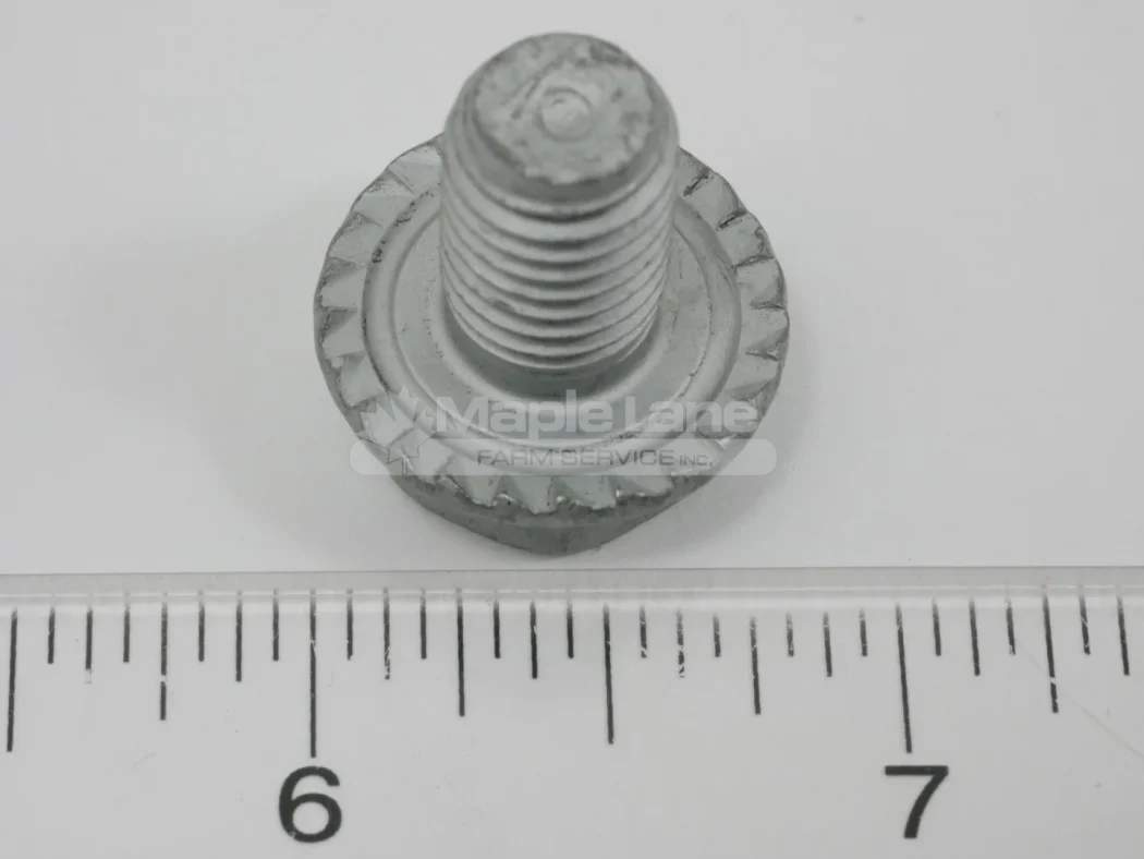 613846 Locking Screw