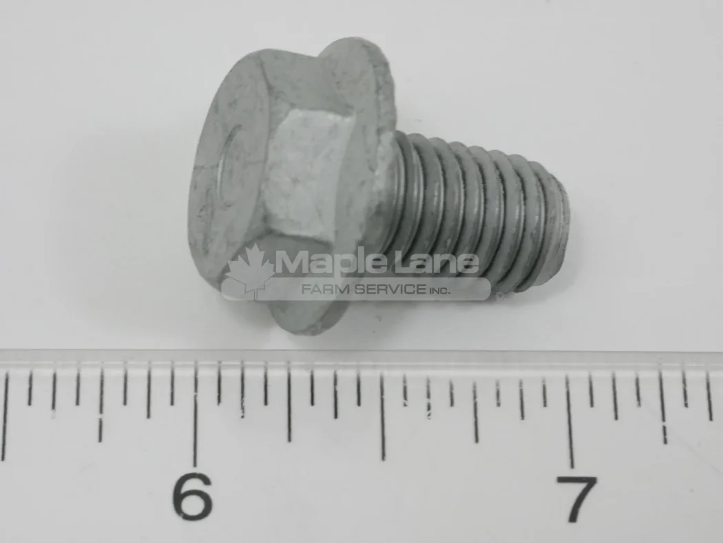 613846 Locking Screw