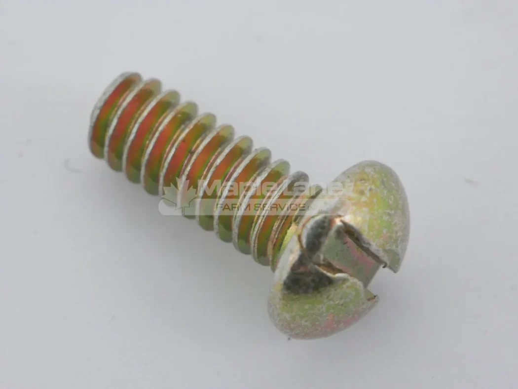 650548 Screw