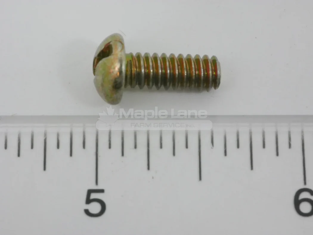 650548 Screw